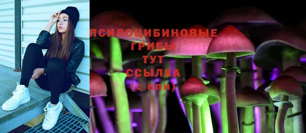 первитин Белоозёрский
