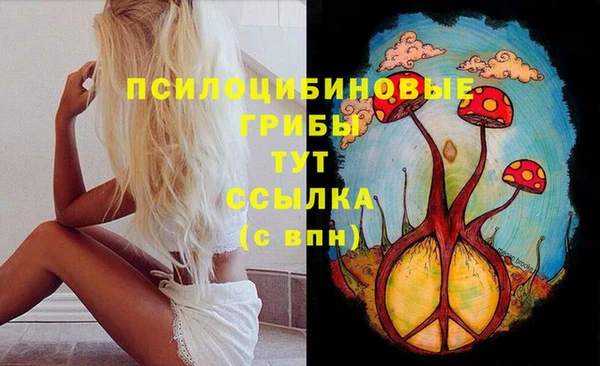 apvp Белокуриха