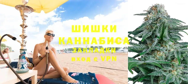 apvp Белокуриха