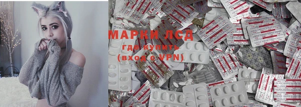apvp Белокуриха