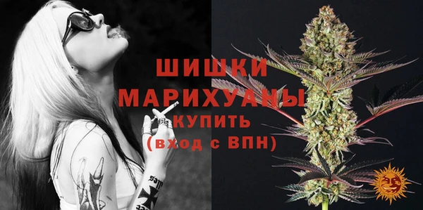 apvp Белокуриха