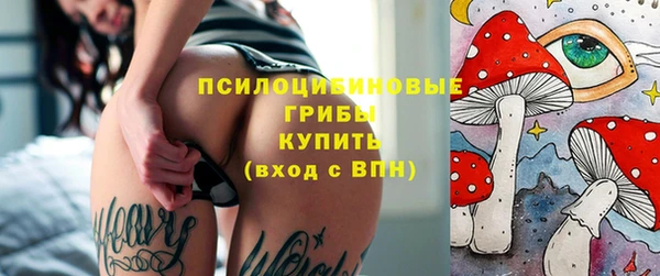 apvp Белокуриха