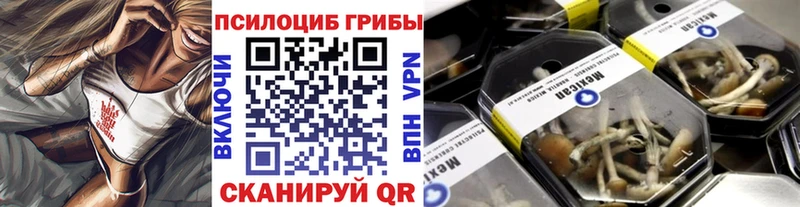 Псилоцибиновые грибы Psilocybe  Тотьма 